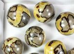 Lot: Septarian Spheres - - Pieces #78048-1